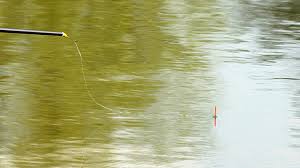 4-Week In-Depth Pole Fishing Course