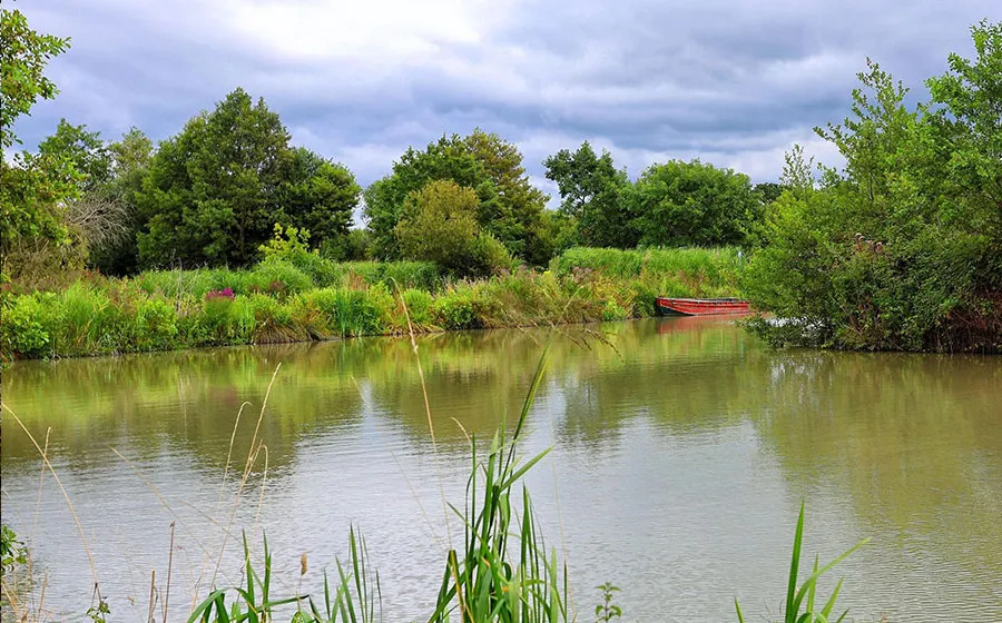 Avalon Fisheries featured image