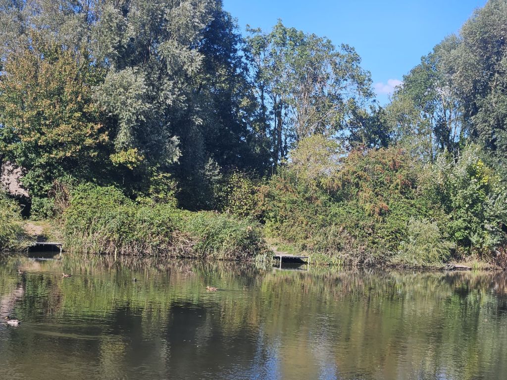 Junior Match 4 – Summer Lane, Weston-super-Mare (20th June 2026)